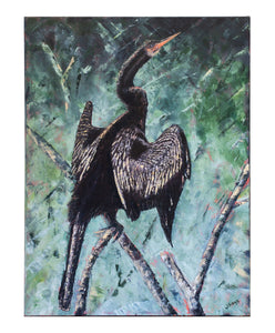 Cormorant (Snakebird)