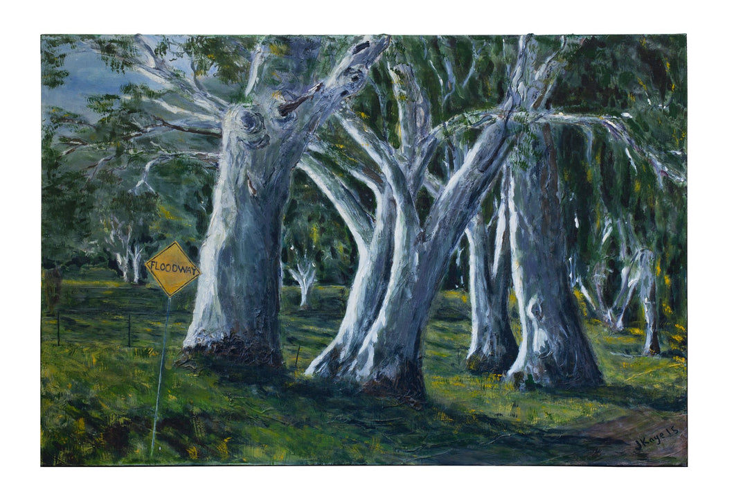 River Redgums - Glen Patrick Creekk ,Elmhurst Vic