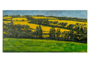 Canola in flower near Mt Barker WA John Kaye Art